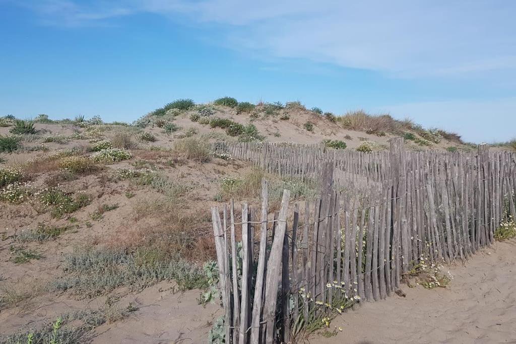 Marseillan-Plage Appartement Coeur De Sable Esterno foto